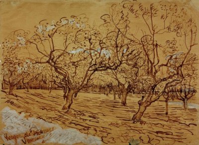 Provençal Orchard by Vincent van Gogh